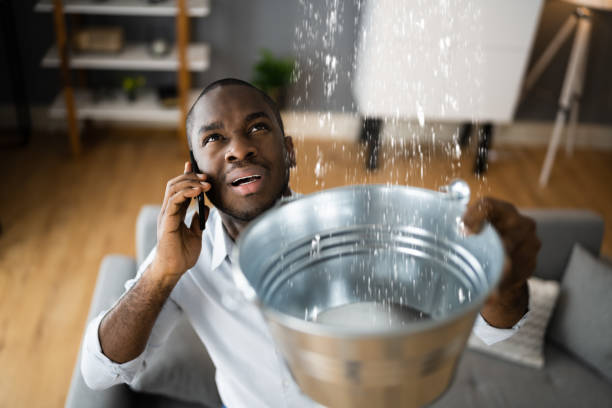 Best Flooded house restoration  in Moline, IL