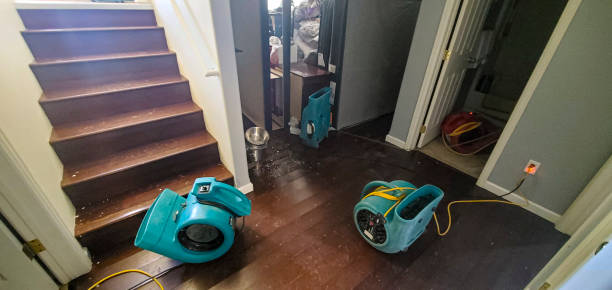 Best Flood restoration services  in Moline, IL