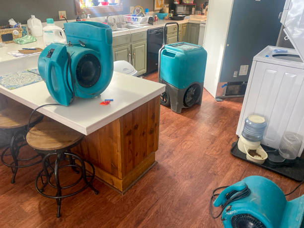 Best Flooded house restoration  in Moline, IL
