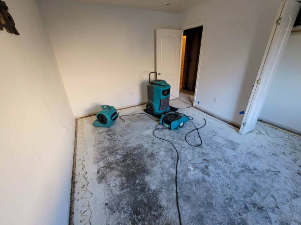 Best Residential water damage restoration  in Moline, IL