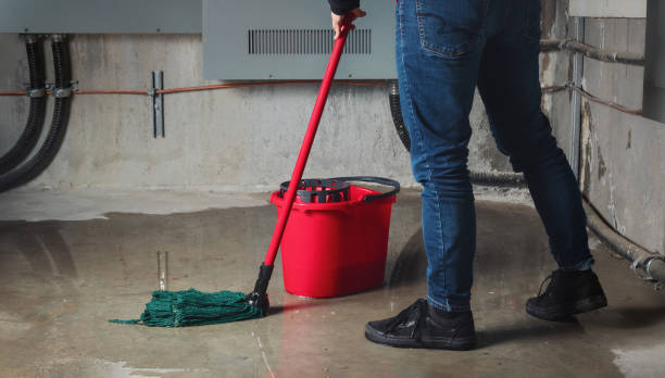 Best Carpet water damage restoration  in Moline, IL