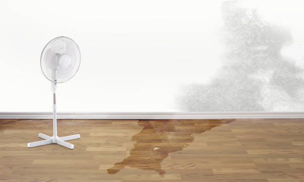  Moline, IL Water damage restoration Pros
