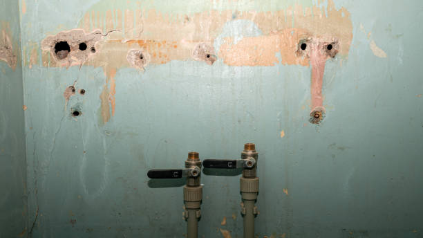 Best Sewage cleanup and water damage restoration  in Moline, IL