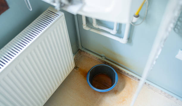 Best Ceiling water damage repair  in Moline, IL