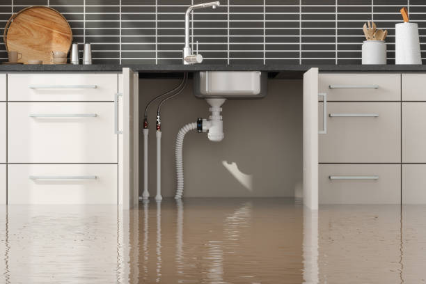 Best Water damage restoration near me  in Moline, IL