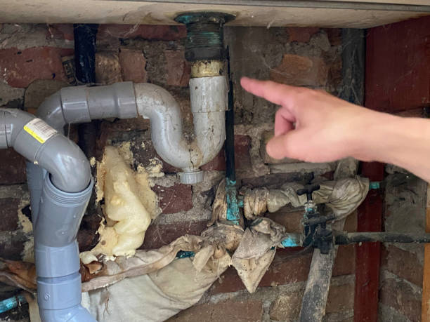 Best Water damage contractors near me  in Moline, IL